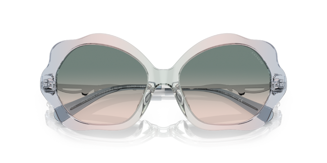 Солнцезащитные очки Coach C9200 HC8346BU 56422C