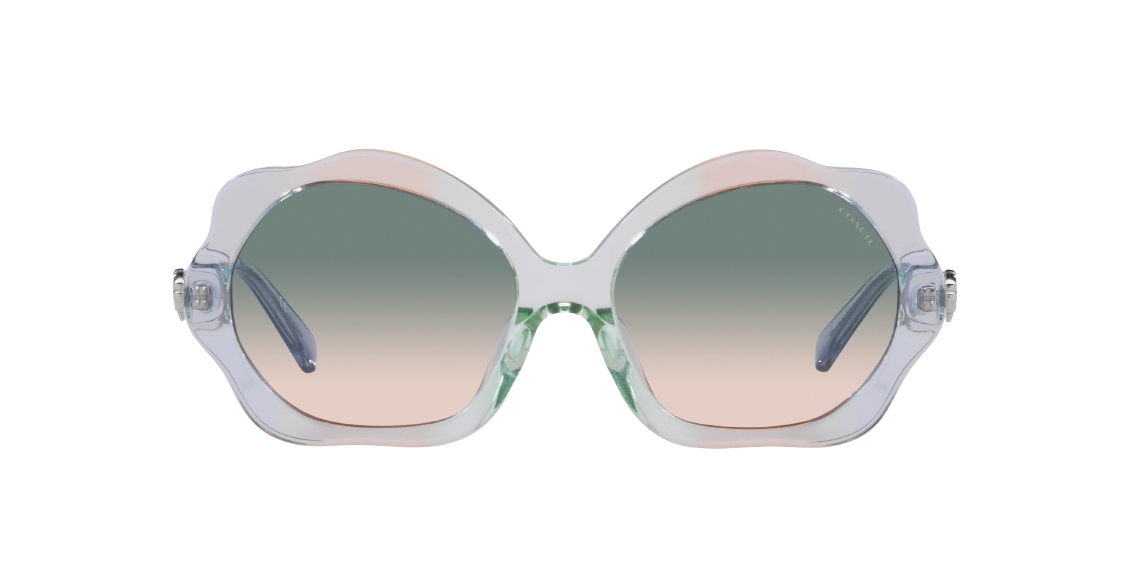 Солнцезащитные очки Coach C9200 HC8346BU 56422C