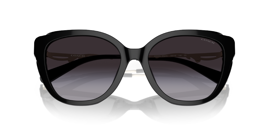 Солнцезащитные очки Coach C9199 HC8347BU 50028G