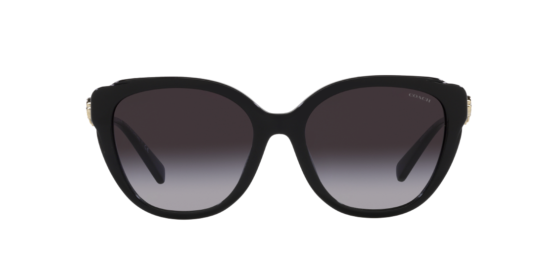 Солнцезащитные очки Coach C9199 HC8347BU 50028G
