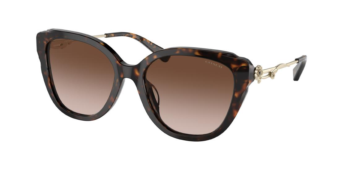 Солнцезащитные очки Coach C9199 HC8347BU 512013