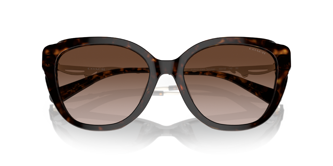Солнцезащитные очки Coach C9199 HC8347BU 512013