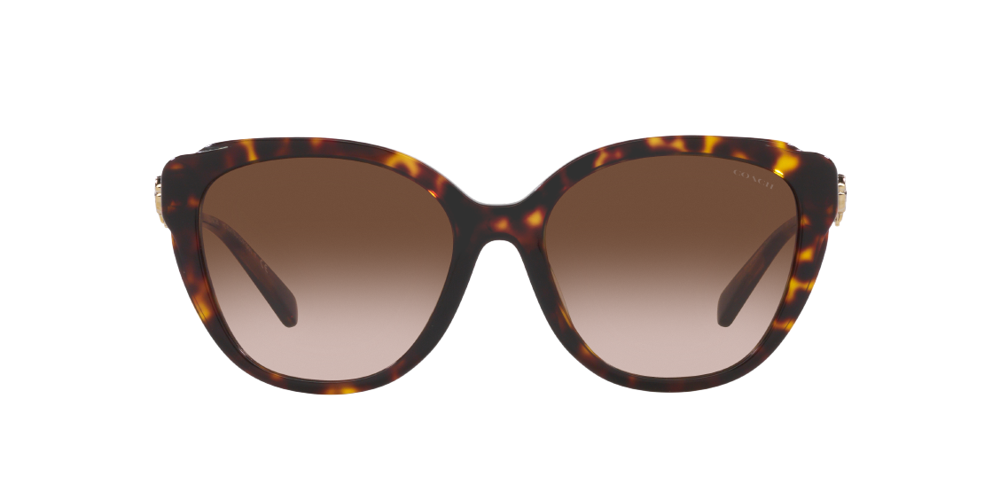 Солнцезащитные очки Coach C9199 HC8347BU 512013