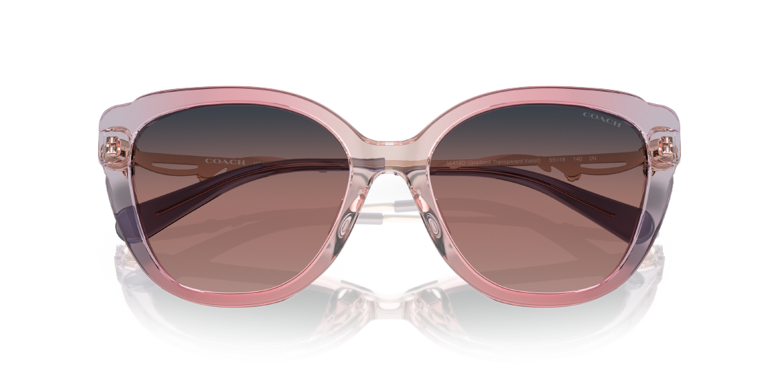 Солнцезащитные очки Coach C9199 HC8347BU 56418D