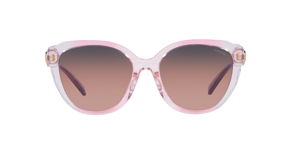 Солнцезащитные очки Coach C9199 HC8347BU 56418D