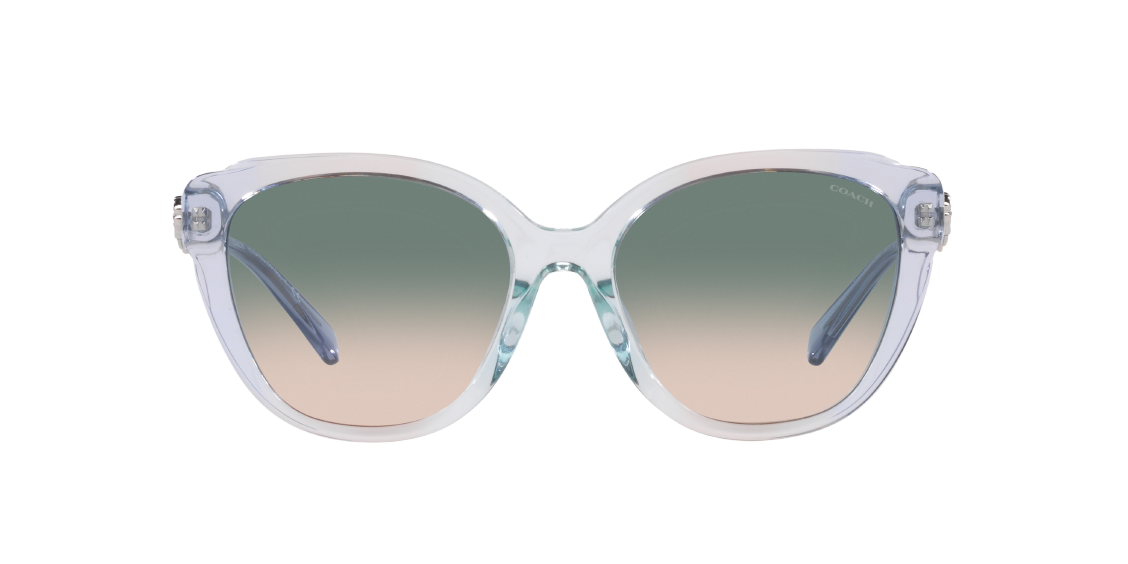 Солнцезащитные очки Coach C9199 HC8347BU 56422C