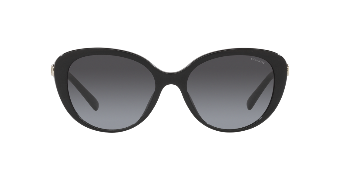 Солнцезащитные очки Coach CD479 HC8348U 50028G