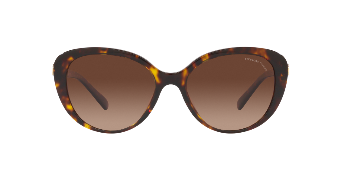 Солнцезащитные очки Coach CD479 HC8348U 5120T5