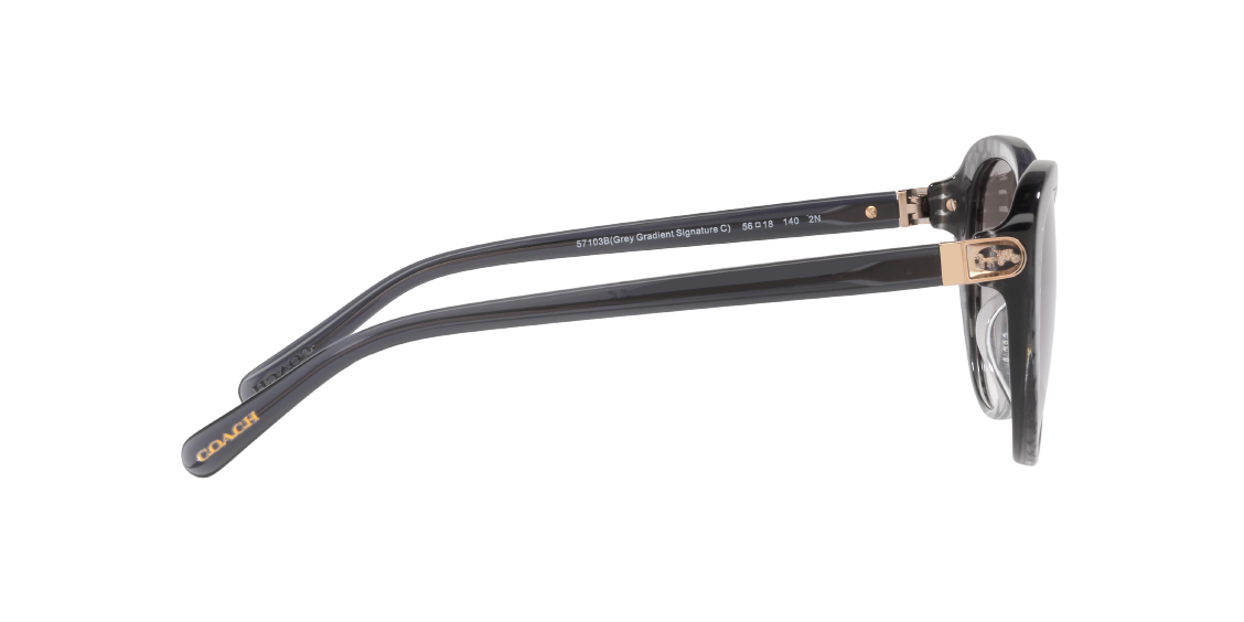Солнцезащитные очки Coach CD479 HC8348U 57103B