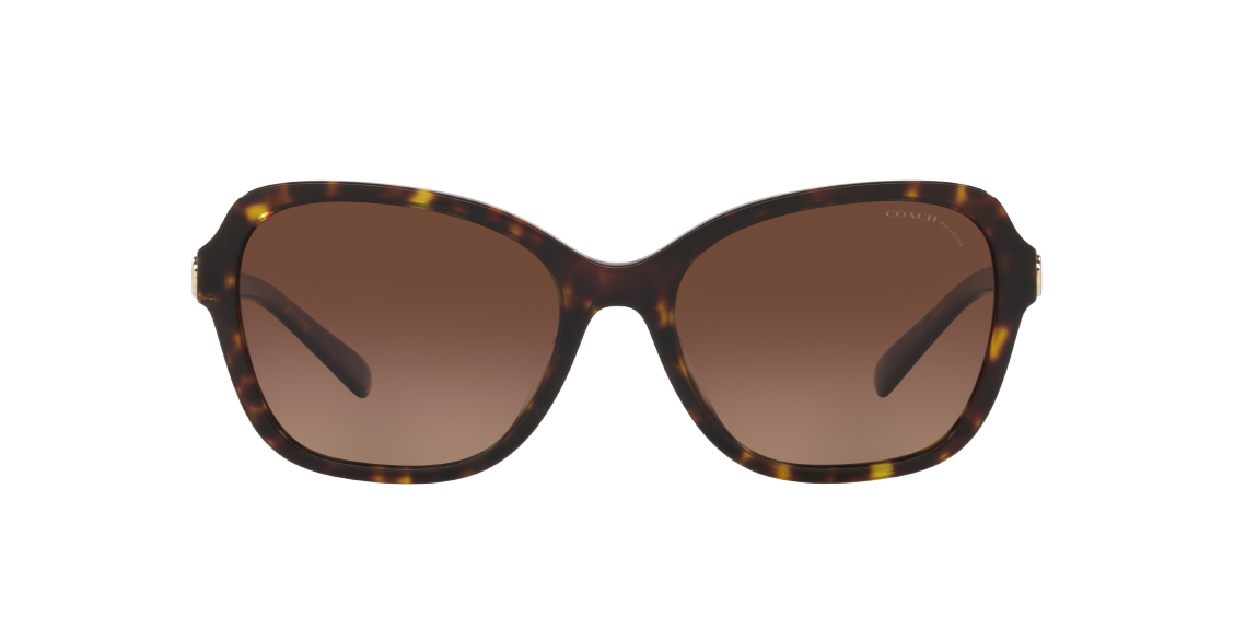 Солнцезащитные очки Coach CD481 HC8349U 5120T5