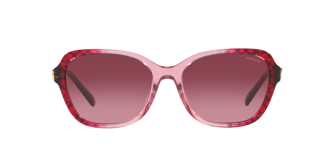 Солнцезащитные очки Coach CD481 HC8349U 57098H