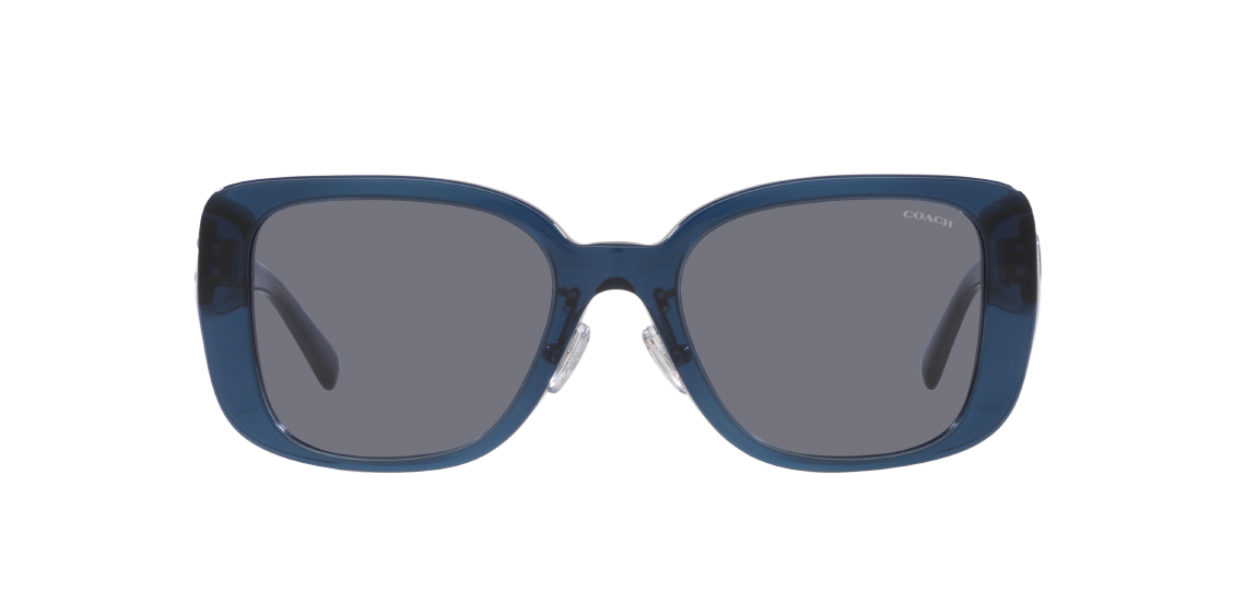 Солнцезащитные очки Coach CD472 HC8352 571480