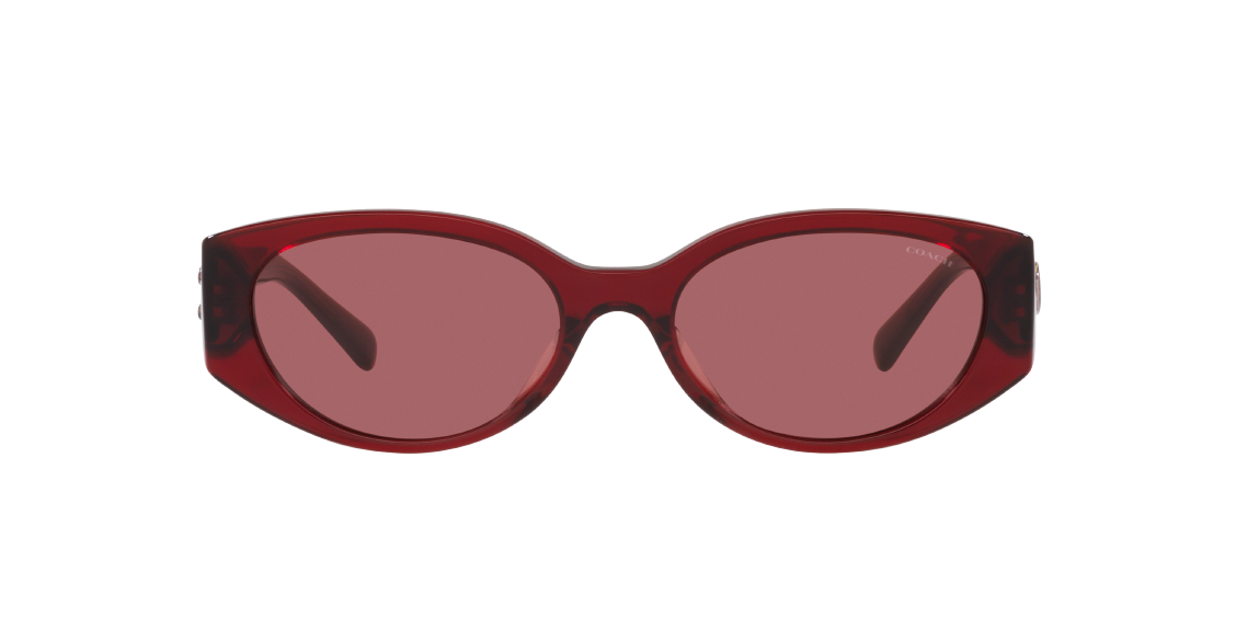 Солнцезащитные очки Coach CD473 HC8353U 571369