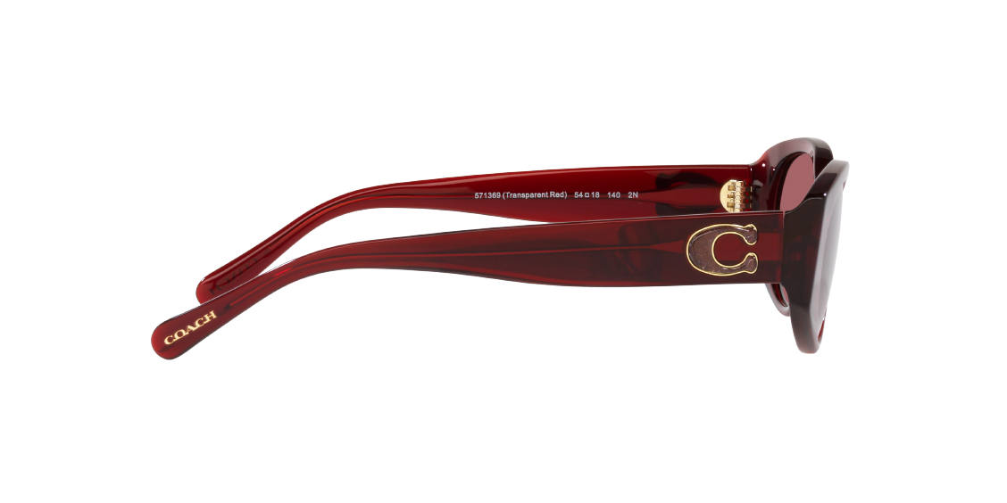 Солнцезащитные очки Coach CD473 HC8353U 571369