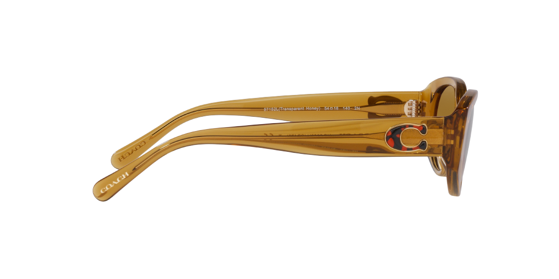 Солнцезащитные очки Coach CD473 HC8353U 57152L