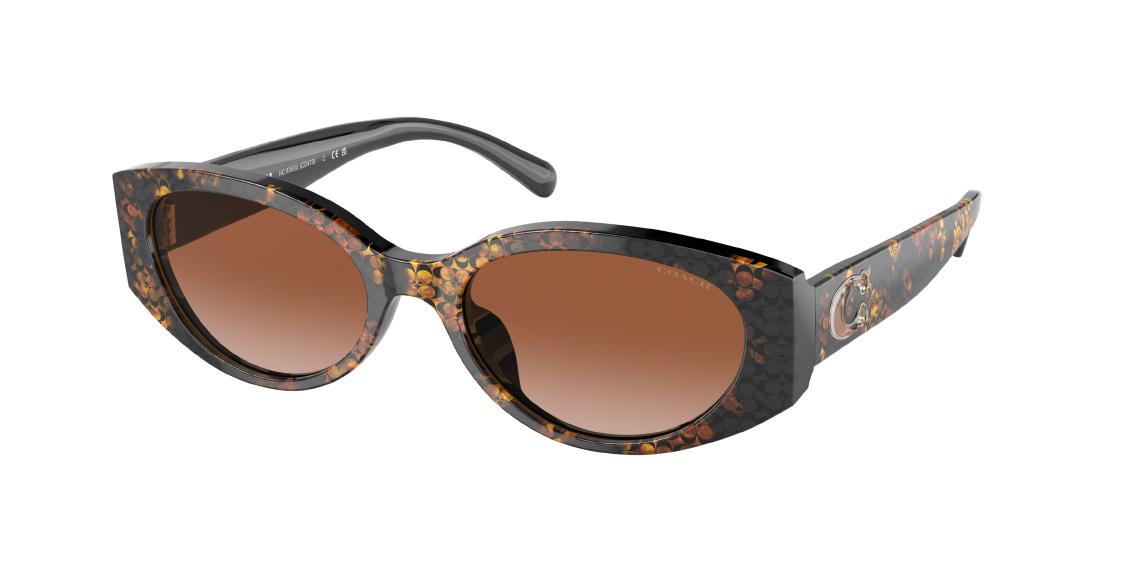 Солнцезащитные очки Coach CD473 HC8353U 572413