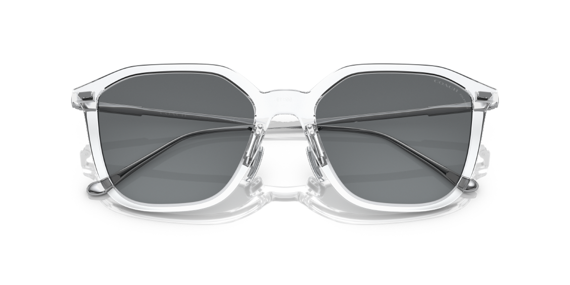 Солнцезащитные очки Coach CD461 HC8355 511181