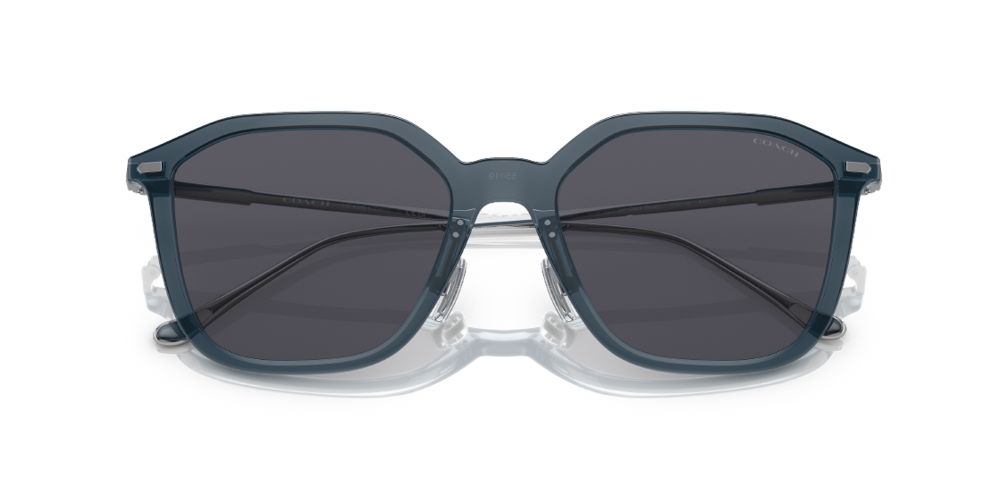 Солнцезащитные очки Coach CD461 HC8355 520387