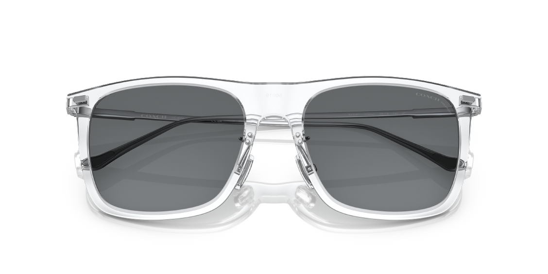 Солнцезащитные очки Coach CD456 HC8356 511181