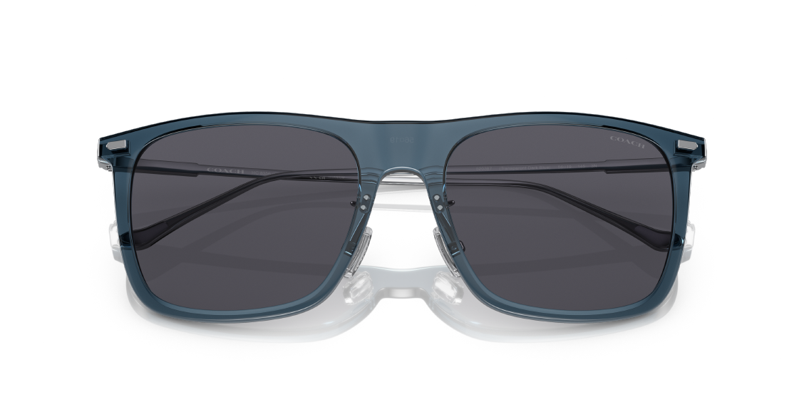 Солнцезащитные очки Coach CD456 HC8356 520387