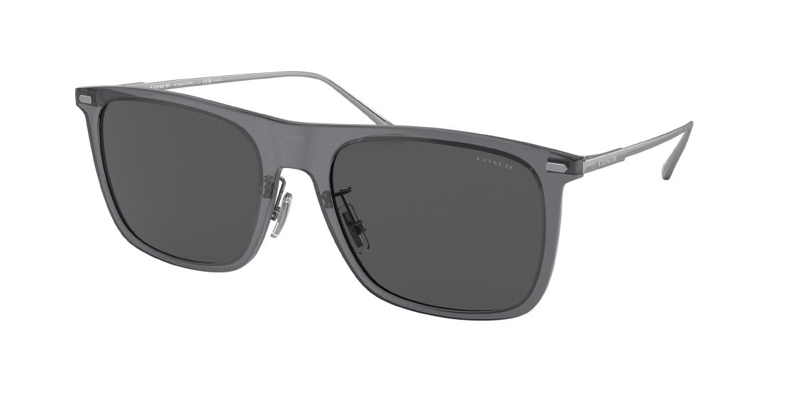 Солнцезащитные очки Coach CD456 HC8356 571687