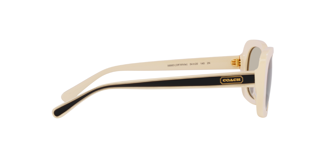 Солнцезащитные очки Coach CD471 HC8358U 56863