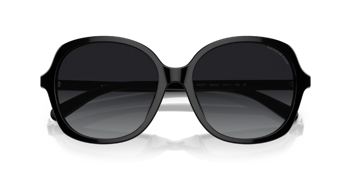 Солнцезащитные очки Coach CH557 HC8360U 5002T3