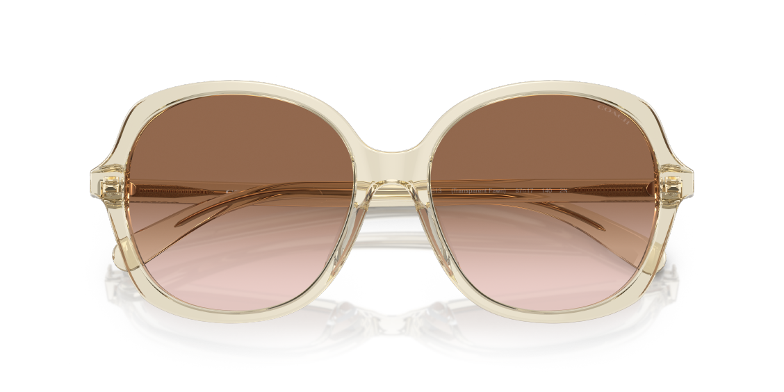 Солнцезащитные очки Coach CH557 HC8360U 573613