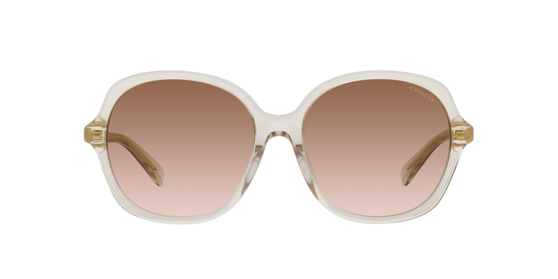 Солнцезащитные очки Coach CH557 HC8360U 573613