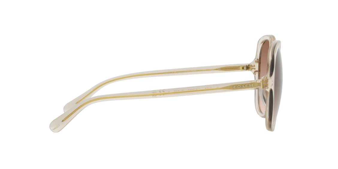 Солнцезащитные очки Coach CH557 HC8360U 573613
