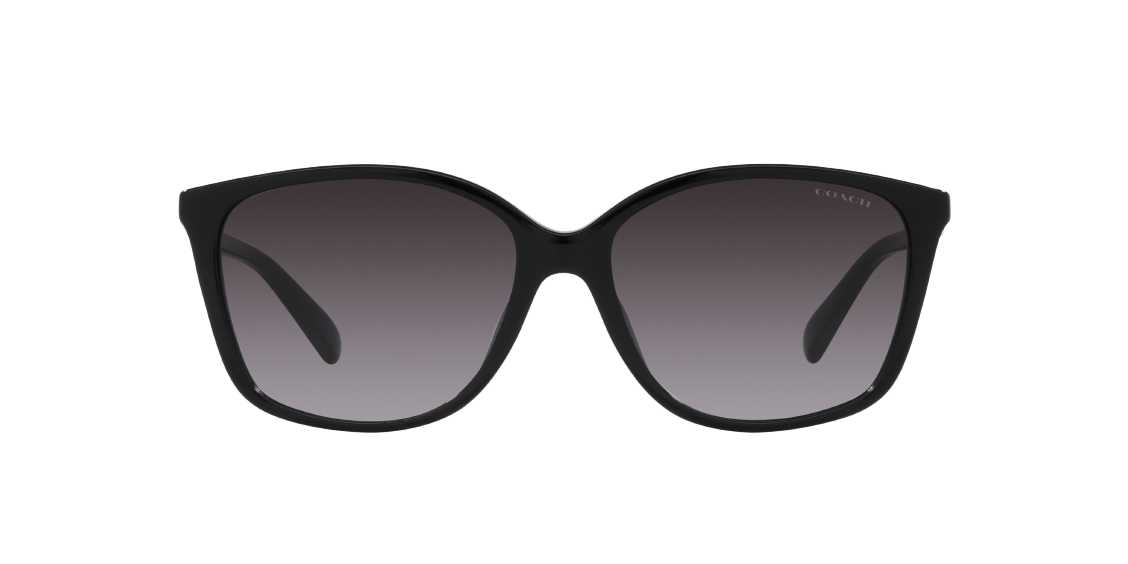 Солнцезащитные очки Coach CH558 HC8361U 50028G