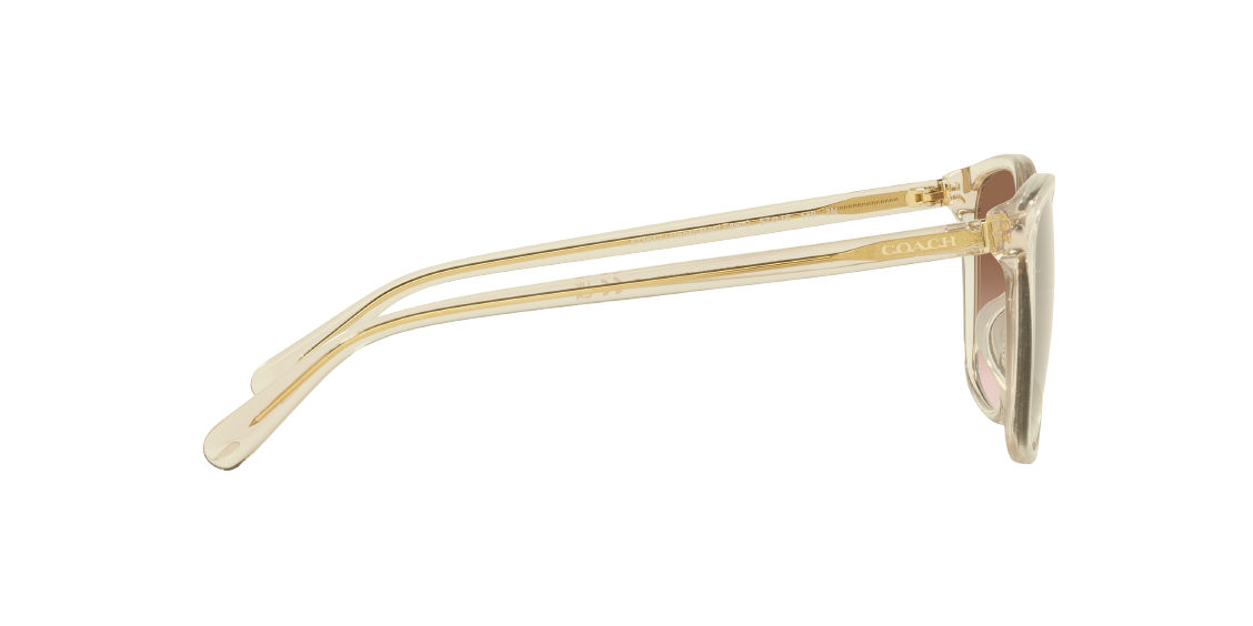 Солнцезащитные очки Coach CH558 HC8361U 573613