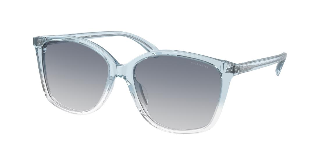 Солнцезащитные очки Coach CH558 HC8361U 573735