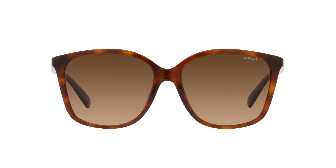 Солнцезащитные очки Coach CH558 HC8361U 574174