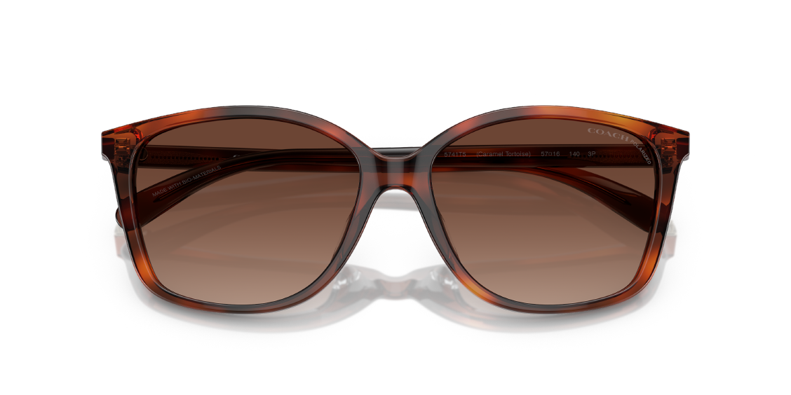 Солнцезащитные очки Coach CH558 HC8361U 5741T5