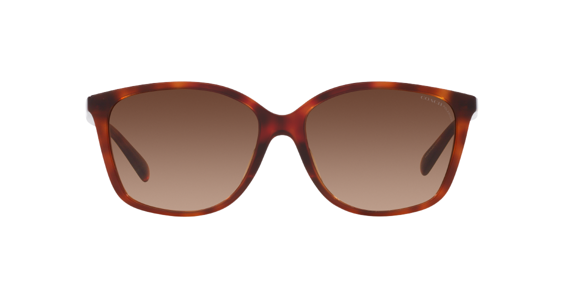 Солнцезащитные очки Coach CH558 HC8361U 5741T5