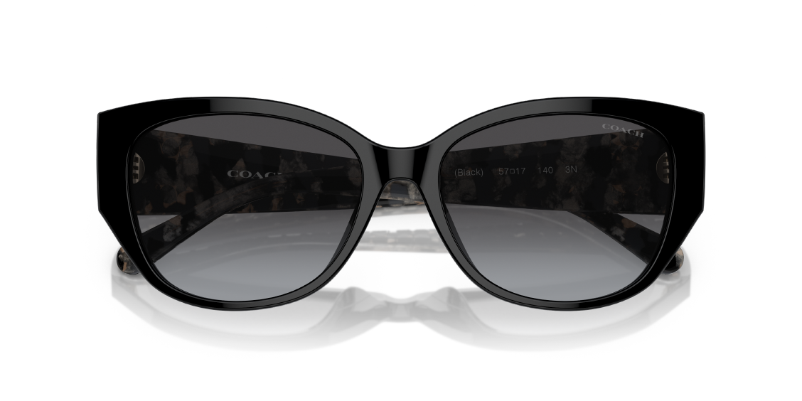 Солнцезащитные очки Coach CH563 HC8362U 50028G