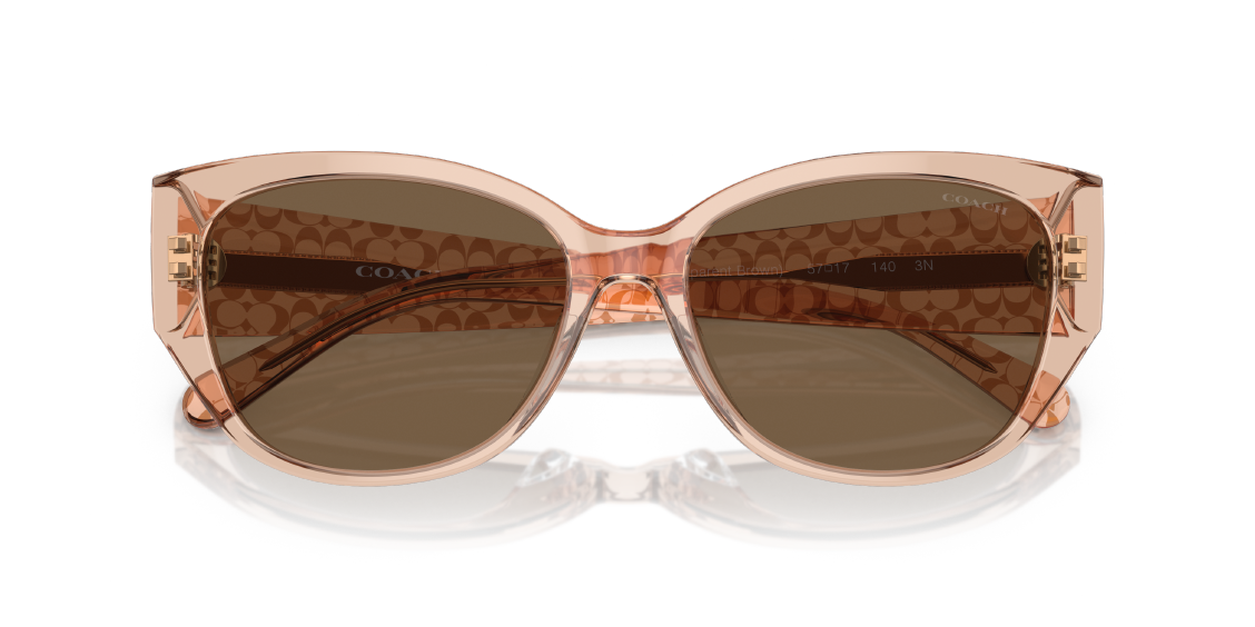 Солнцезащитные очки Coach CH563 HC8362U 556173