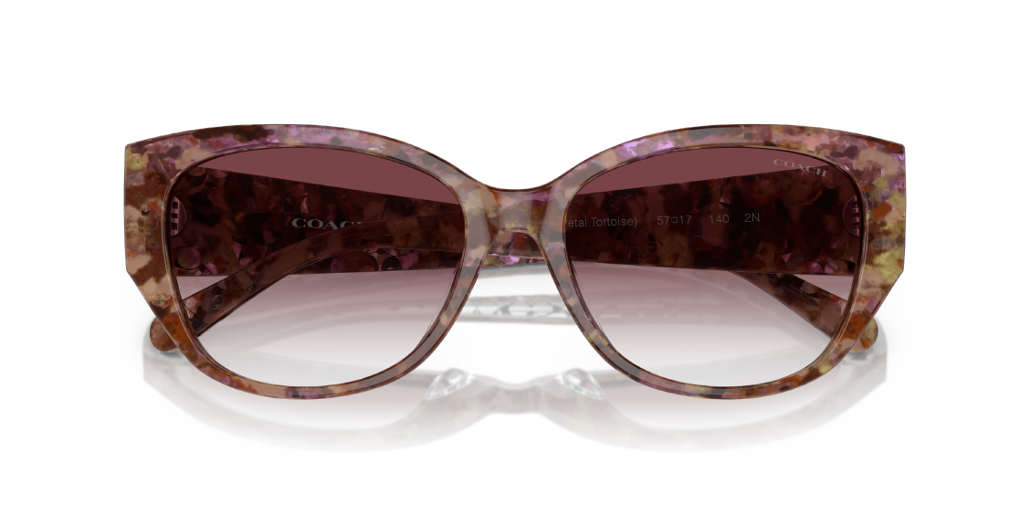 Солнцезащитные очки Coach CH563 HC8362U 57398H