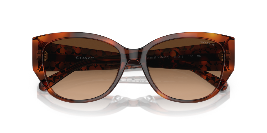 Солнцезащитные очки Coach CH563 HC8362U 574174