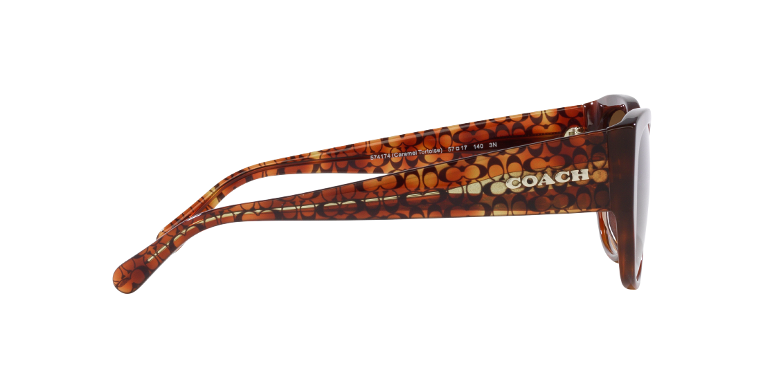 Солнцезащитные очки Coach CH563 HC8362U 574174