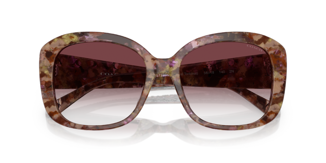 Солнцезащитные очки Coach CH564 HC8363U 57398H