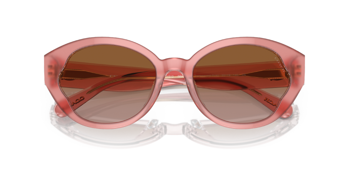 Солнцезащитные очки Coach CH569 HC8364U 574313