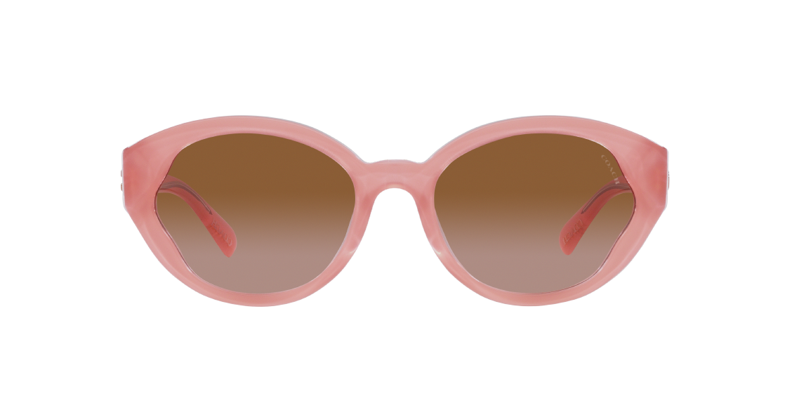 Солнцезащитные очки Coach CH569 HC8364U 574313