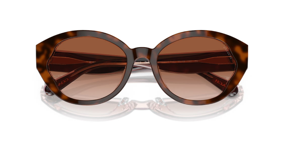 Солнцезащитные очки Coach CH569 HC8364U 574413