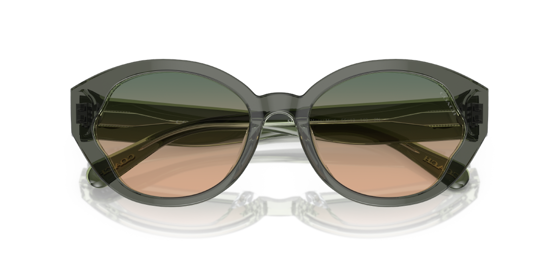 Солнцезащитные очки Coach CH569 HC8364U 574613