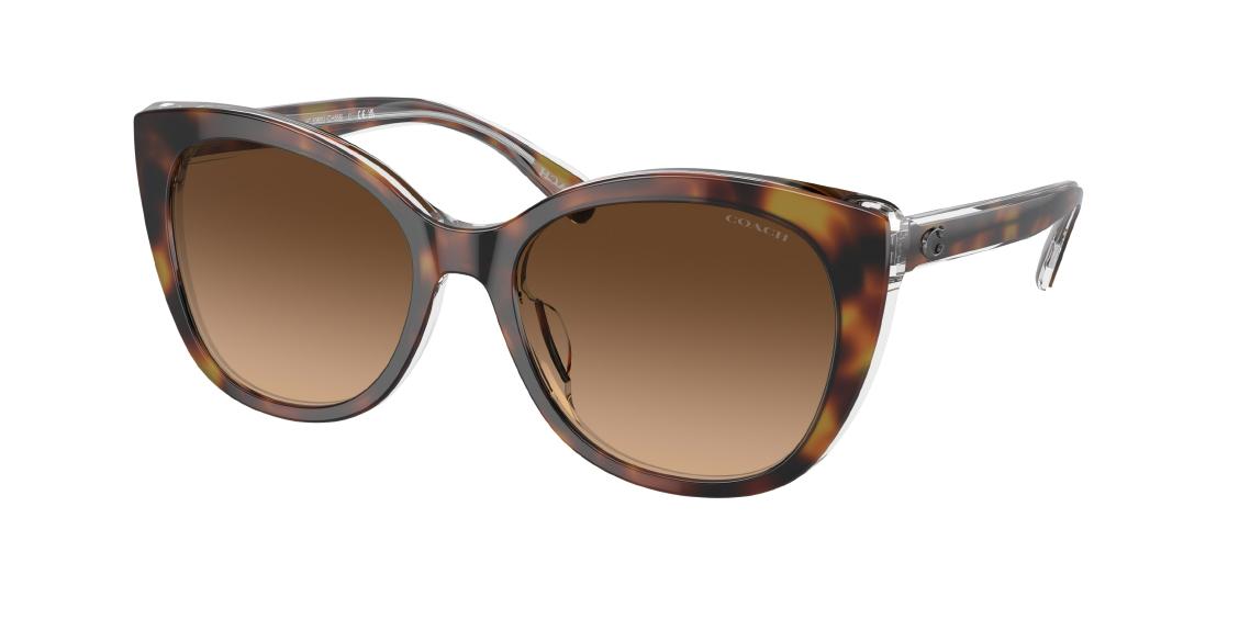 Солнцезащитные очки Coach CH566 HC8365U 574274