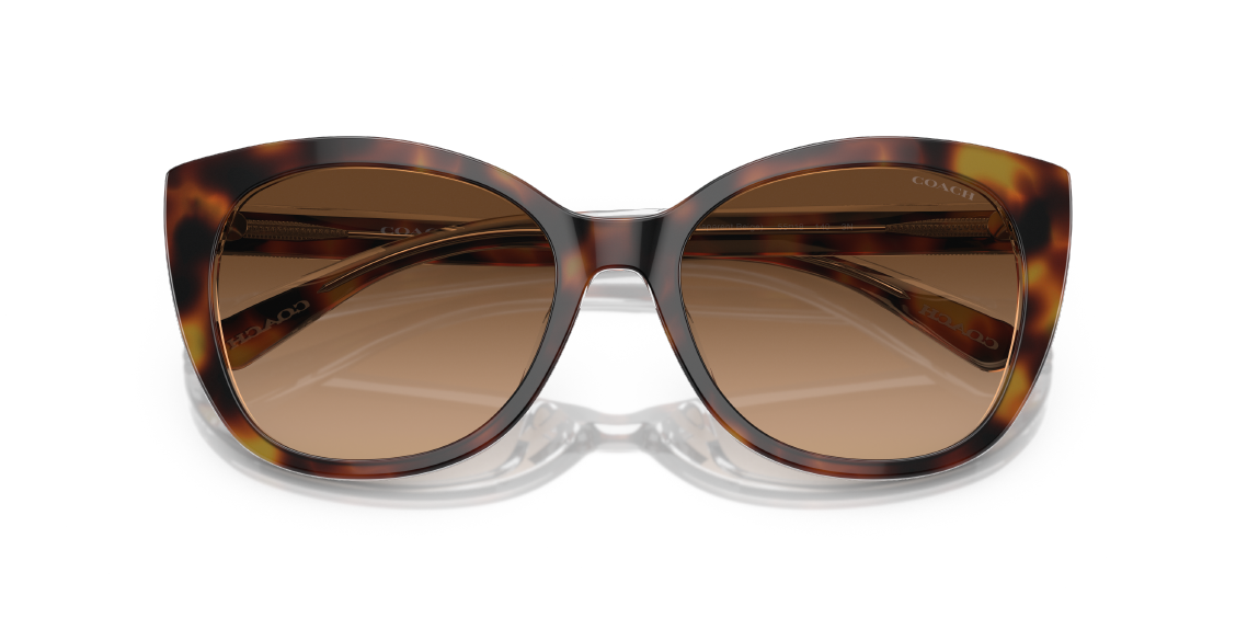 Солнцезащитные очки Coach CH566 HC8365U 574274