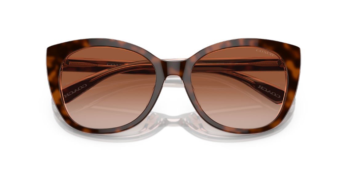 Солнцезащитные очки Coach CH566 HC8365U 574413