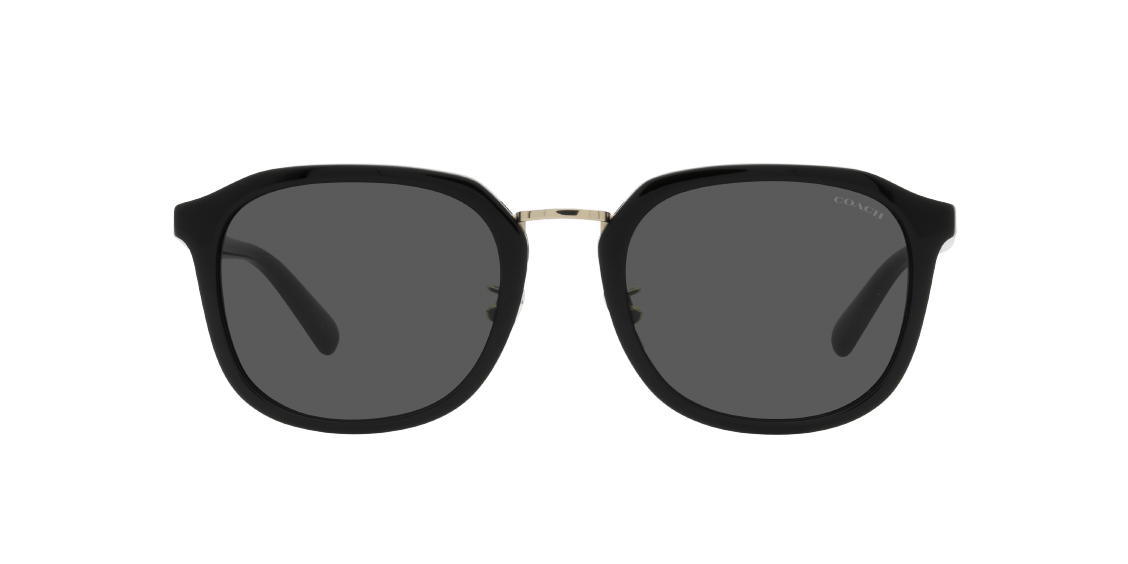 Солнцезащитные очки Coach CH577 HC8366 500287